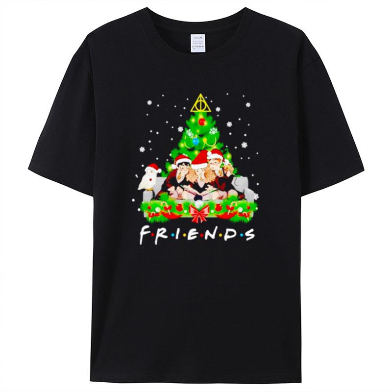 Friends Harry Potter And Ron And Hermione Merry Christmas Shirts For Women Men