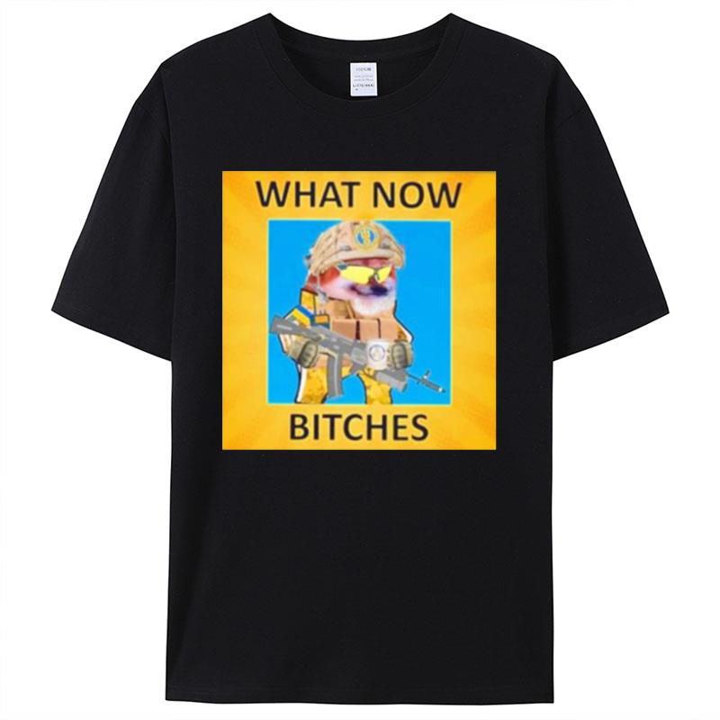 What Now Bitches Malcolm Nance Dog Pile Shirts For Women Men