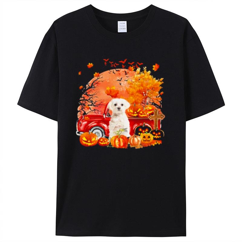 White Maltese Dog Hollowed Pumpkin Moon Shirts For Women Men